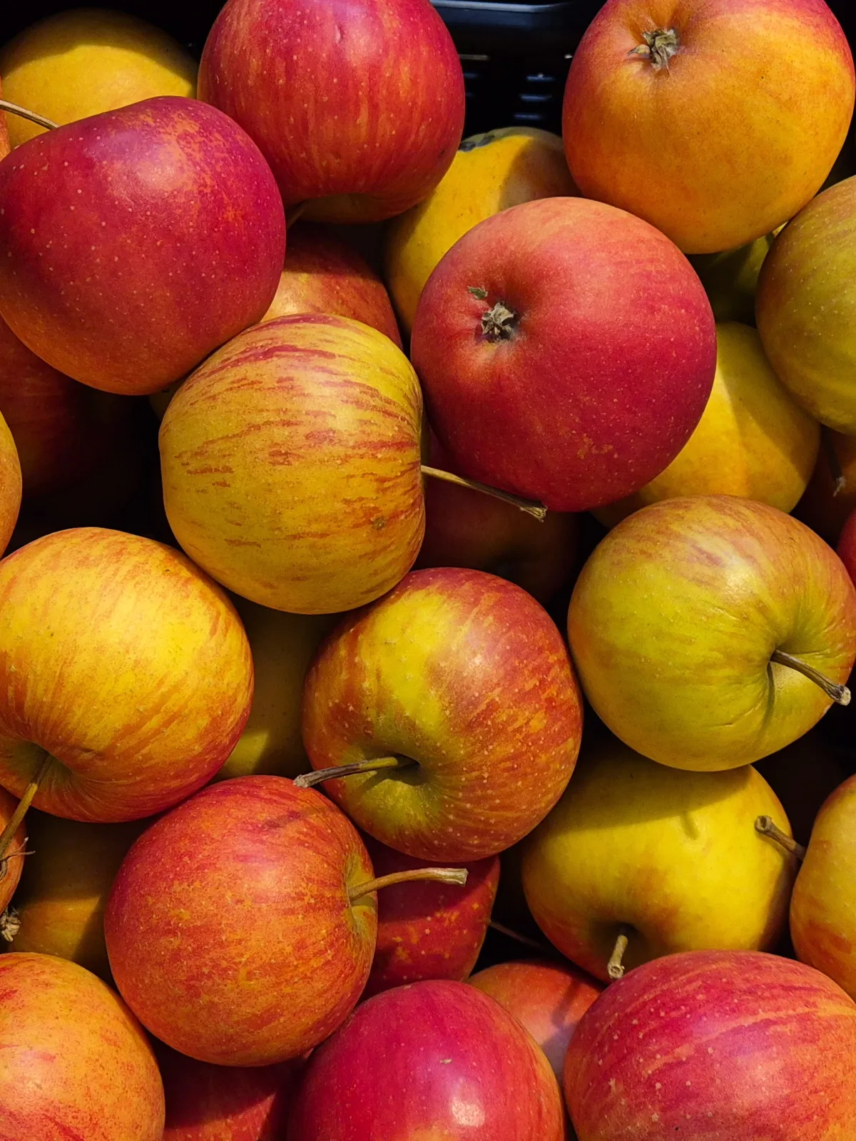Äpfel