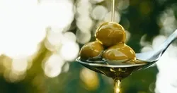 Produkt Bio Olivenöl „Sonnenhain“ 500 ml Foto